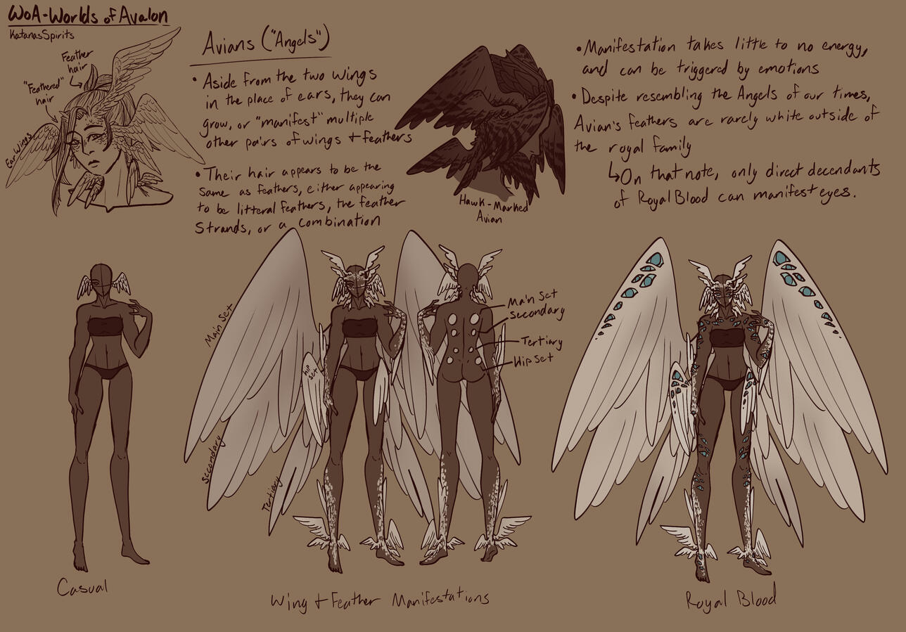 Avian Sheet for Original Story
