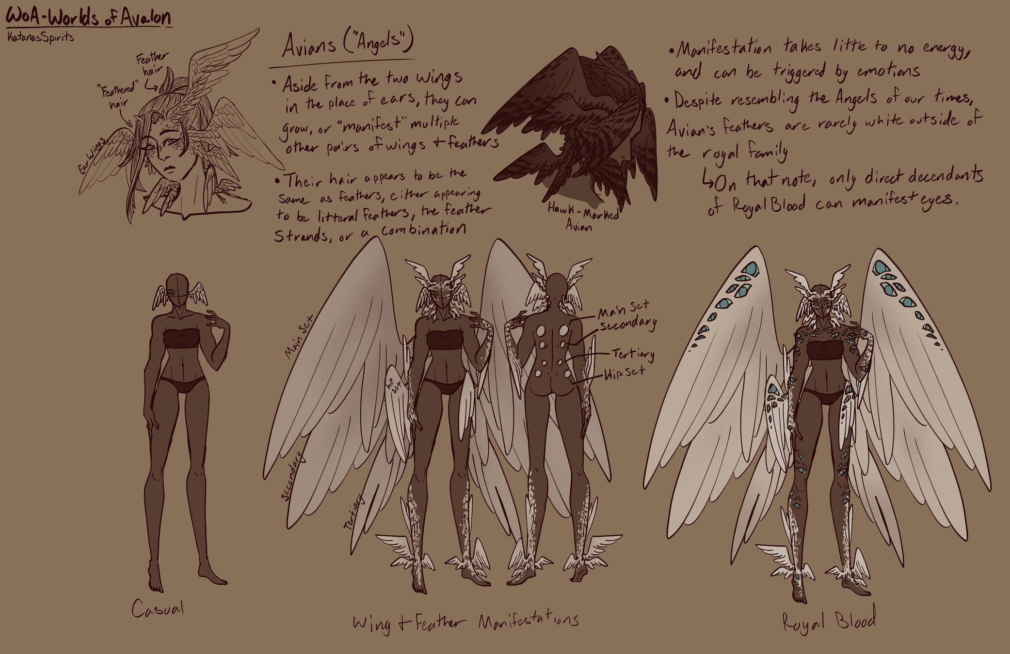 Avians - Worldbuilding Sheet Avians - Worldbuilding Sheet